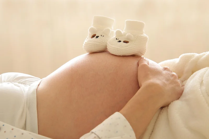 베이비페어 9월 코베 아기띠 최저가 구매 팁 핵심 안내 인포그래픽 2